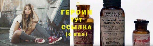 индика Вязьма