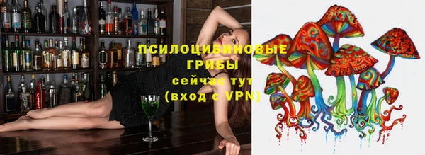 индика Вязьма