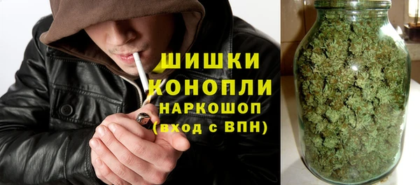 индика Вязьма
