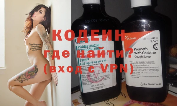 индика Вязьма
